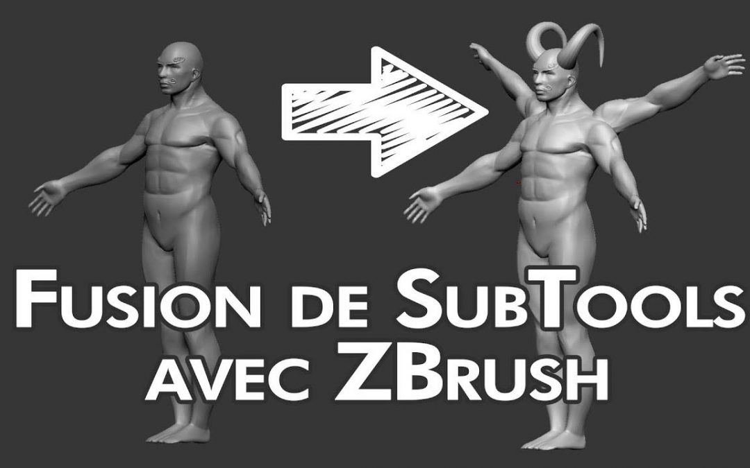 La Fusion de SubTools et Niveaux de Subdivision